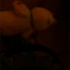 DSCF1205