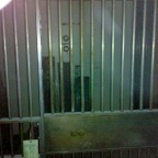 2010-04-28 14.50.46.jpg