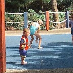 davidzoo2