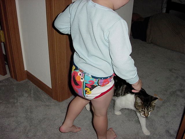 Loading Image