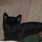 DSC00012