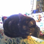 Picture004_01Apr05