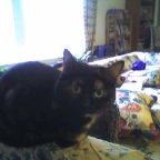 Picture005_01Apr05