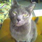 Picture009_02Apr05