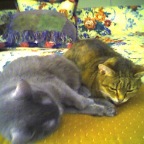 Picture013_03Apr05