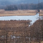 DSCF1206