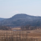 DSCF1208