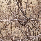 DSCF1209