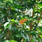 DSCF1212