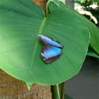 DSCF1215