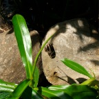 DSCF1224