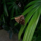 DSCF1249