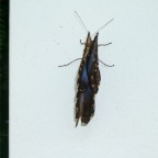 DSCF1257