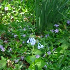 DSCF1265