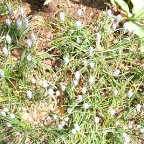 DSCF1266