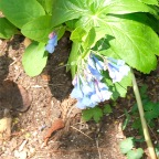 DSCF1268