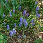 DSCF1269