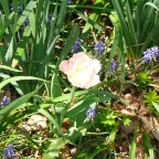 DSCF1270