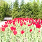 DSCF1278