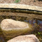 DSCF1286