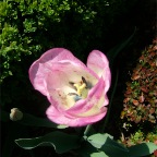 DSCF1290