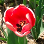 DSCF1297