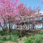 DSCF1300