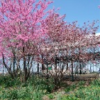 DSCF1301