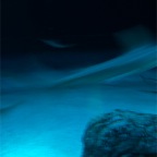 DSCF1305