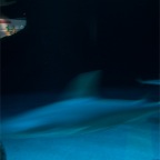 DSCF1306