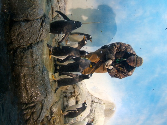 Loading Image