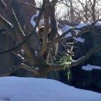 2009-12-29 15.17.52.jpg