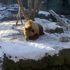 2009-12-29 15.22.53.jpg