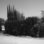 DSCF3753