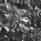 DSCF3761