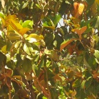 DSCF3762