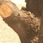 DSCF3767