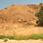 DSCF3779