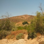 DSCF3780