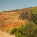 DSCF3781