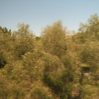 DSCF3783
