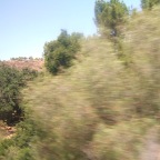 DSCF3784