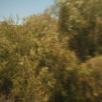 DSCF3785