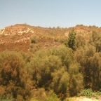 DSCF3787