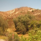 DSCF3788