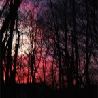 DSCF4044