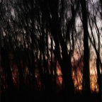 DSCF4045
