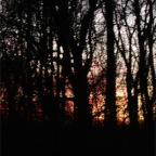 DSCF4046